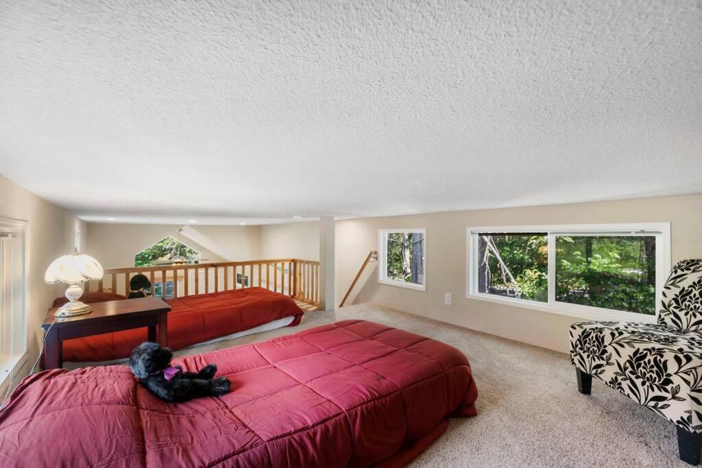 New Tiny Home Steps Away From Mt. Rainier 阿什福德 外观 照片