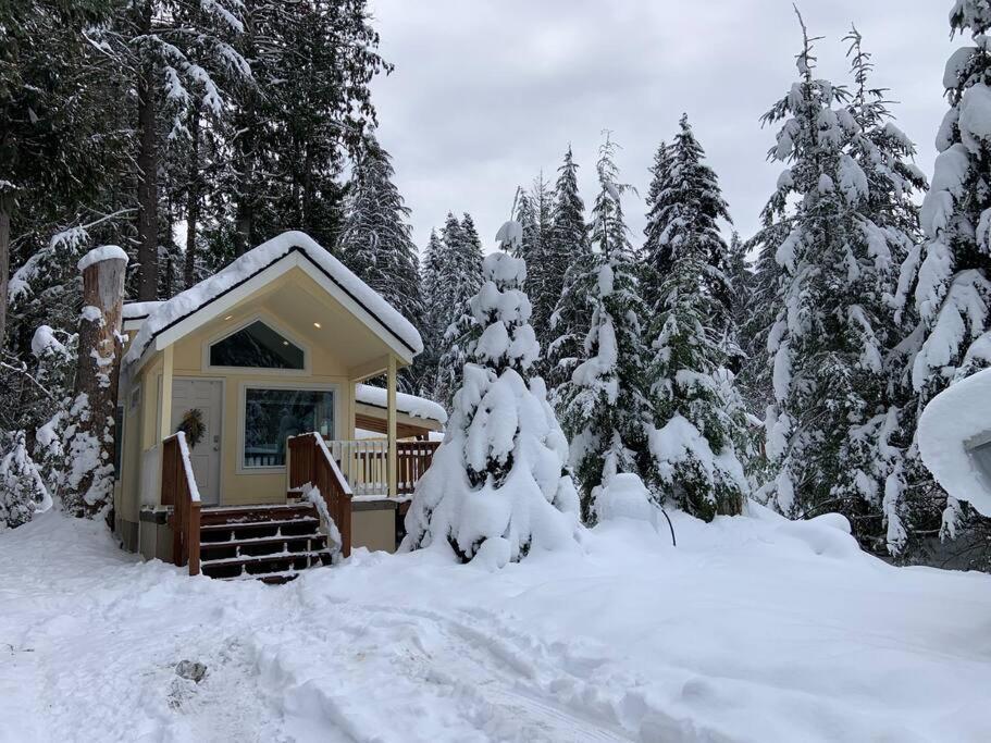 New Tiny Home Steps Away From Mt. Rainier 阿什福德 外观 照片